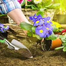 Carica l'immagine nel visualizzatore di Gallery, Set di Attrezzi da Giardino, 7 Pezzi Alluminio Kit Giardinaggio, Utensili da Giardino con Impugnatura in Gomma Antiscivolo, per Scavare, Dissodare Il Terreno, Piantare, Diserbo