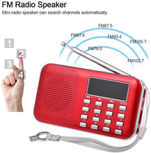 Carica l&#39;immagine nel visualizzatore di Gallery, docooler Radio Altoparlanti Portatili Radio Portabile con Display LCD Supporto Lettore U Disco e Micro SD Card AUX MP3 Support USB Drive TF Card AUX-in Earphone-out