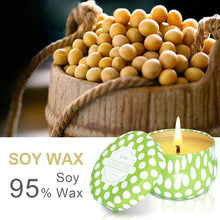 Carica l&#39;immagine nel visualizzatore di Gallery, SCENTORINI 8 Candele Citronella Repellenti per Zanzare per Interni ed Esterni, Tempo di Combustione 15 Ore per Candela