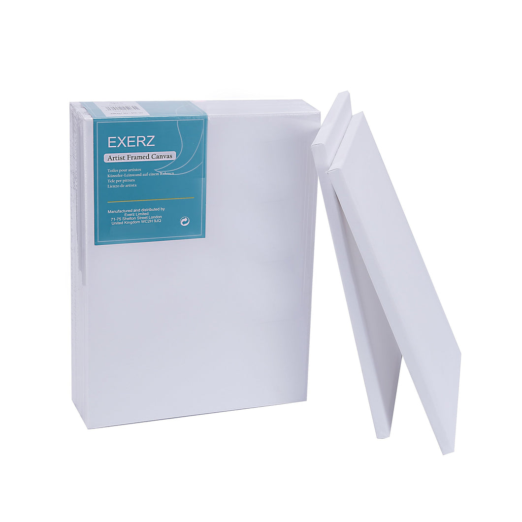 EXERZ Set da 5 tele per pittura/ Tele d'artista 40x30cm - 5 pezzi, Bianco - Ilgrandebazar