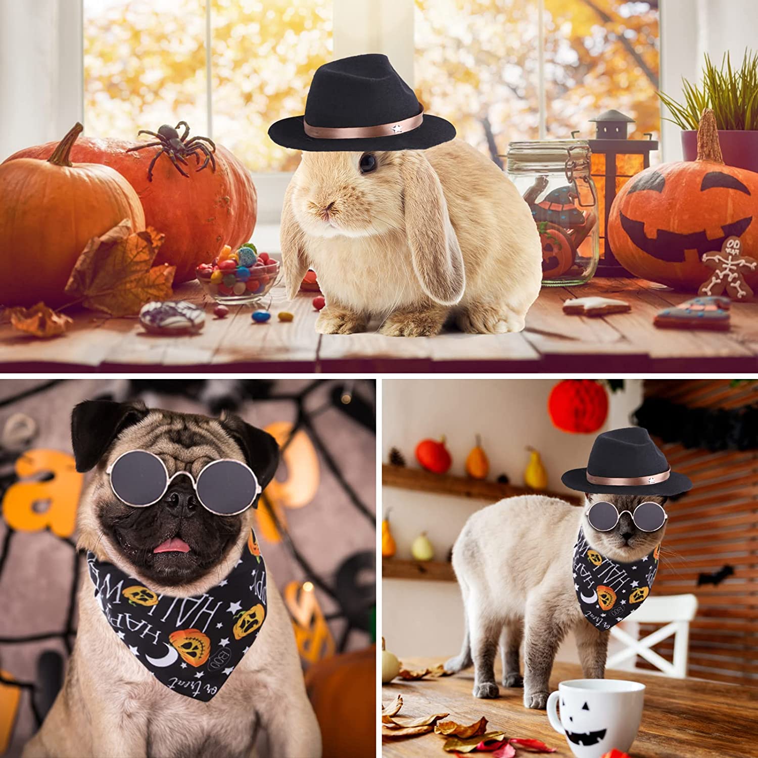 Vestiti Halloween Cani Cane Vestito Da Zucca Halloween Pet Dog