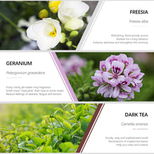 Carica l&#39;immagine nel visualizzatore di Gallery, Oli Essenziali Aromaterapia,ESSLUX Fiori Per Diffusori Olio... - Ilgrandebazar