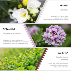 Oli Essenziali Aromaterapia,ESSLUX Fiori Per Diffusori Olio... - Ilgrandebazar