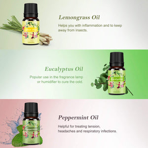 Oli Essenziali per Diffusori Top 6 Set - Aromaterapia Olio Essenziale Clear - Ilgrandebazar