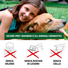 Carica l&#39;immagine nel visualizzatore di Gallery, Gardigo® Set di 3 Trappole per Topi | Cattura i Roditori Vivi, Senza Ucciderli | Sicure per Bambini e Animali Domestici | Trappole per Topi Riutilizzabili e Igieniche | Per Uso Interno e Esterno