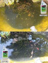 Carica l&#39;immagine nel visualizzatore di Gallery, Envii Pond Klear - Trattamento per acque verdi che rende l&#39;acqua dei 1 l - Ilgrandebazar