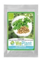 Carica l&#39;immagine nel visualizzatore di Gallery, BIO Santoreggia annua &amp; Coriandolo - Set di + - Ilgrandebazar