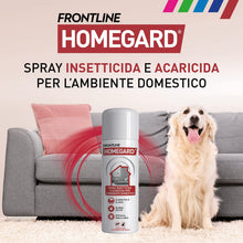 Carica l'immagine nel visualizzatore di Gallery, 5