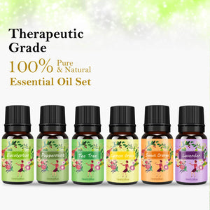 Oli Essenziali per Diffusori Top 6 Set - Aromaterapia Olio Essenziale Clear - Ilgrandebazar