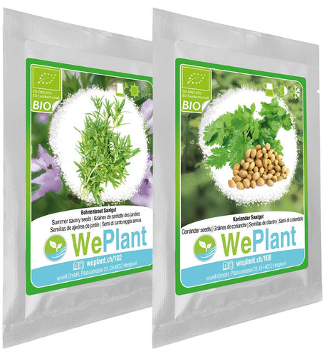 BIO Santoreggia annua & Coriandolo - Set di + - Ilgrandebazar