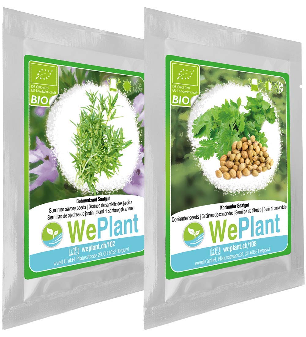 BIO Santoreggia annua & Coriandolo - Set di + - Ilgrandebazar