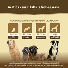 Carica l&#39;immagine nel visualizzatore di Gallery, Veddelholzer Vincitore Certificato 2020 Compresse per Le articolazioni dei Cani integratori per Cani con cozza dalle Labbra Verdi MSM e Artiglio del Diavolo Glucosamina e collagene