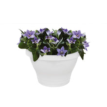 Carica l&#39;immagine nel visualizzatore di Gallery, Elho Corsica Fioriera, Bianco, 25 x 17 x 19 cm 25 x 17 x 19 cm, Bianco - Ilgrandebazar