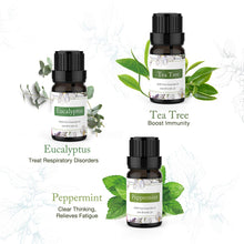 Carica l&#39;immagine nel visualizzatore di Gallery, ASAKUKI Olio Essenziale 6 Set di Aromaterapia lavanda,... - Ilgrandebazar