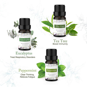 ASAKUKI Olio Essenziale 6 Set di Aromaterapia lavanda,... - Ilgrandebazar
