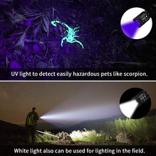 Carica l&#39;immagine nel visualizzatore di Gallery, Torcia Tattica UV 2 in 1, a LED con 500LM, di UV+Bianco Luce - Ilgrandebazar