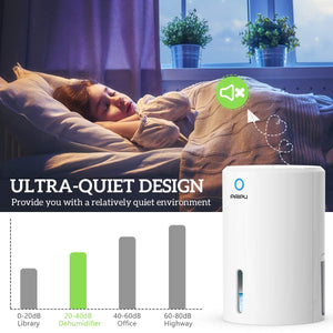 PAIPU Deumidificatore per case 900ml, Muffa e Umidità, ideale White-1 - Ilgrandebazar