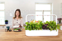 Carica l&#39;immagine nel visualizzatore di Gallery, Substratkapsel Ch.Pepper 3er P Peperoncini rossi - Ilgrandebazar