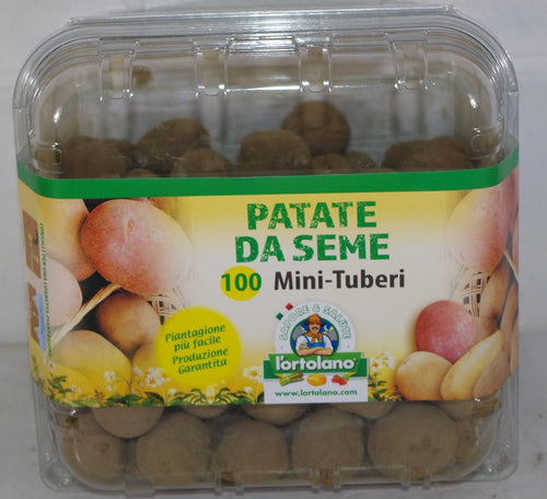 PATATE DA SEME VARIETA' DESIREE' IN CONFEZIONE 100 MINI-TUBERI - Ilgrandebazar