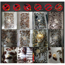 Carica l&#39;immagine nel visualizzatore di Gallery, Trapweb Trappola Adesiva per scarafaggi, con Esca, Non tossica e Ecologica,... - Ilgrandebazar