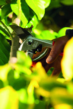 Carica l&#39;immagine nel visualizzatore di Gallery, FELCO 6996010 Forbici per Potatura - Ilgrandebazar