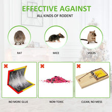 Carica l&#39;immagine nel visualizzatore di Gallery, Baban Trappola per Topi, 2 Pezzi Topi Topi... - Ilgrandebazar