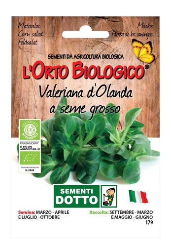 Sdd O.BIO_VALERIANA D'OLANDA Seme Grosso Semi, 0.02x15.5x10.8 cm, Multicolore - Ilgrandebazar