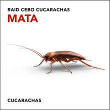 Carica l&#39;immagine nel visualizzatore di Gallery, Raid Esca Scarafaggi - Confezione da 6 trappole bianco Bianco - Ilgrandebazar