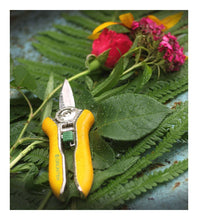 Carica l&#39;immagine nel visualizzatore di Gallery, GRÜNTEK Forbici da Potatura Bonsai Fiori Rose Giardino 170 mm, Verde, Giallo - Ilgrandebazar