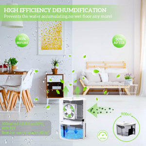 PAIPU Deumidificatore per case 900ml, Muffa e Umidità, ideale White-1 - Ilgrandebazar