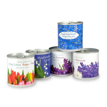Carica l&#39;immagine nel visualizzatore di Gallery, Extragifts Fiori in lattina - Non ti scordar di me blu - Ilgrandebazar