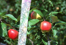 Carica l&#39;immagine nel visualizzatore di Gallery, UCLEVER Nastro Repellente antiuccelli Uccello 106M x 4.8cm Controllore per... - Ilgrandebazar