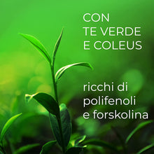 Carica l&#39;immagine nel visualizzatore di Gallery, 2