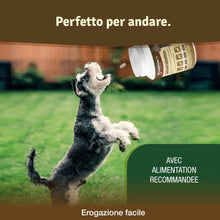 Carica l&#39;immagine nel visualizzatore di Gallery, Veddelholzer Vincitore Certificato 2020 Compresse per Le articolazioni dei Cani integratori per Cani con cozza dalle Labbra Verdi MSM e Artiglio del Diavolo Glucosamina e collagene
