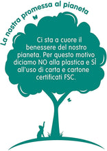Carica l'immagine nel visualizzatore di Gallery, 6