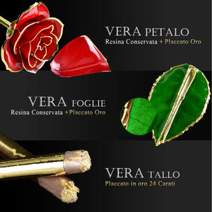 FORGIFTING Fiore di Vera Rosa Placcata con Oro 24K, Rose Rossa - Ilgrandebazar