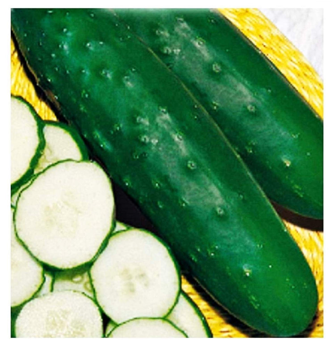 Semi di Cetriolo Mezzo Lungo Marketmore 76 - Verdure - Cucumis Sativus - 200... - Ilgrandebazar