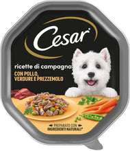 Carica l'immagine nel visualizzatore di Gallery, 1