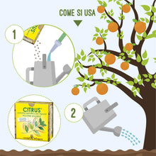 Carica l&#39;immagine nel visualizzatore di Gallery, I Consigli Dell&#39;Esperto Citrus Concime Minerale Specifico per Agrumi - Ilgrandebazar