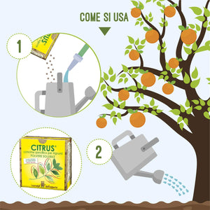 I Consigli Dell'Esperto Citrus Concime Minerale Specifico per Agrumi - Ilgrandebazar