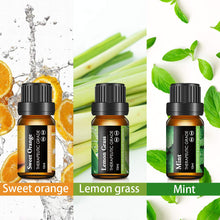 Carica l&#39;immagine nel visualizzatore di Gallery, Skymore Set 6x10 ml di Oli Essenziali Puri, per Diffusori 15*10