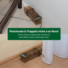 Carica l&#39;immagine nel visualizzatore di Gallery, Gardigo® Set di 3 Trappole per Topi | Cattura i Roditori Vivi, Senza Ucciderli | Sicure per Bambini e Animali Domestici | Trappole per Topi Riutilizzabili e Igieniche | Per Uso Interno e Esterno