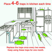 Carica l&#39;immagine nel visualizzatore di Gallery, Kimimara Cockroach Trappole, 12 Pcs Trappole per scarafaggi con Bait... - Ilgrandebazar