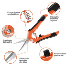 Carica l&#39;immagine nel visualizzatore di Gallery, CELIFE 3 Pezzi Cesoia da potatura Professionali Forbici e Cesoie per potare... - Ilgrandebazar