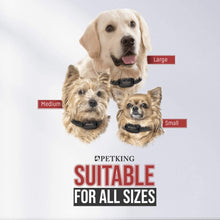 Carica l'immagine nel visualizzatore di Gallery, PetKing Premium Collare Antiabbaio Cane Collare Addestramento Cane Vibrazione Humano Dispositivo Anti Abbaio Cani