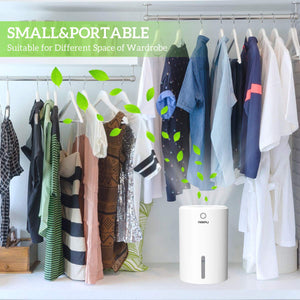 PAIPU Deumidificatore per case 900ml, Muffa e Umidità, ideale White-1 - Ilgrandebazar
