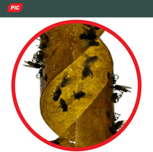 Carica l'immagine nel visualizzatore di Gallery, PIC - 16 Pezzi - Acchiappamosche - Ecologico e Senza tossicità - Incluso Gancio per Appendere - Trappola Anti- Mosca verificata