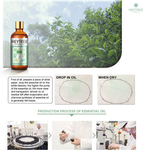 Carica l'immagine nel visualizzatore di Gallery, HEYTREE Olio essenziale dell'albero del tè 100ml per la cura della pelle e dei capelli - caldo, speziato, profumo di canfora che aiuta a sollevare gli spiriti - Diffondere per purificare l'aria spray