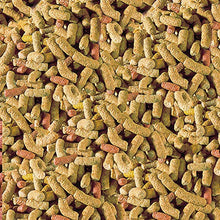 Carica l'immagine nel visualizzatore di Gallery, Sera Mangime in Granuli, Raffy P - 10 L