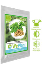 Carica l&#39;immagine nel visualizzatore di Gallery, BIO Santoreggia annua &amp; Coriandolo - Set di + - Ilgrandebazar